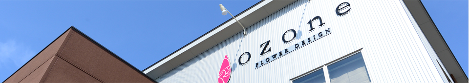 ozone shop image